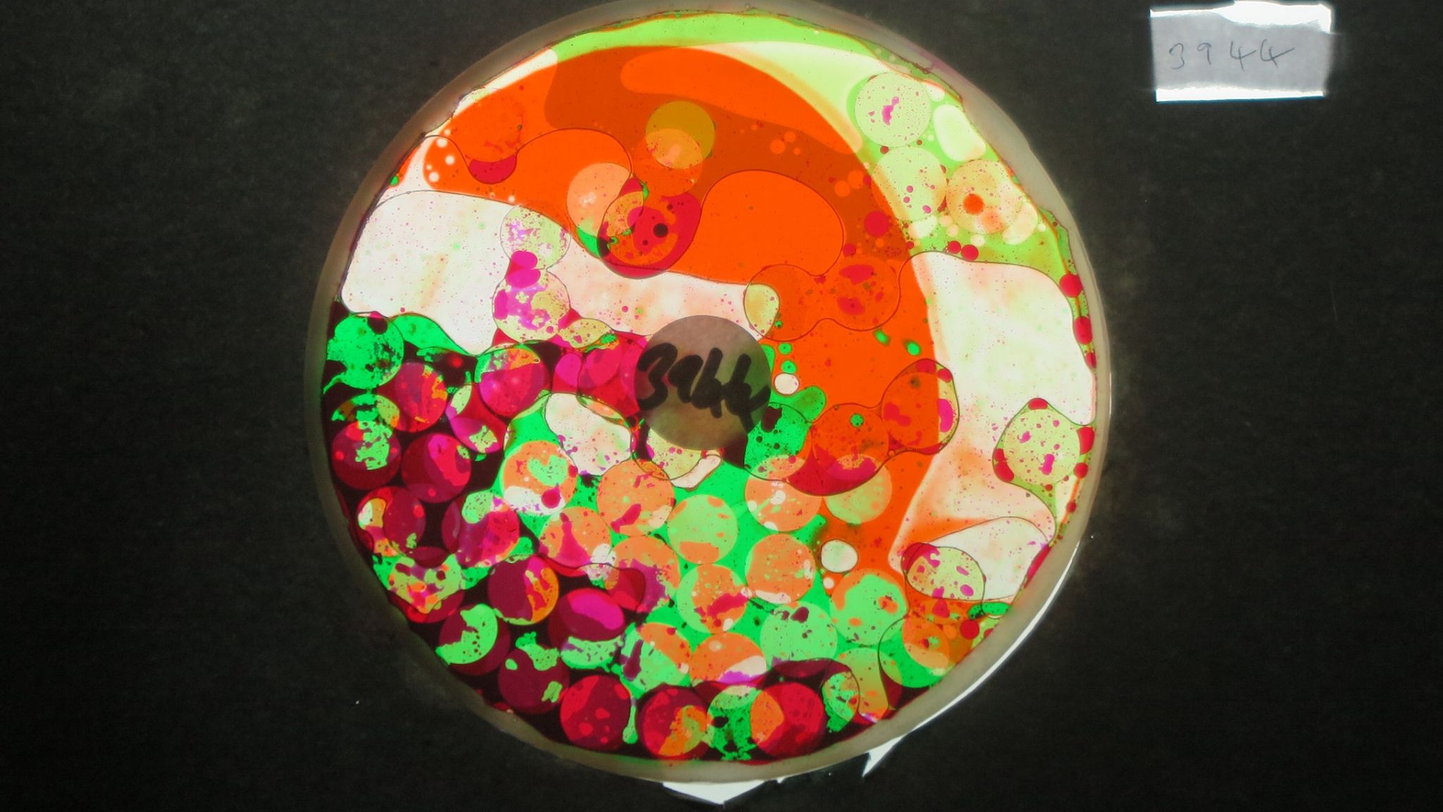 BV3944 bubble vision oil wheel